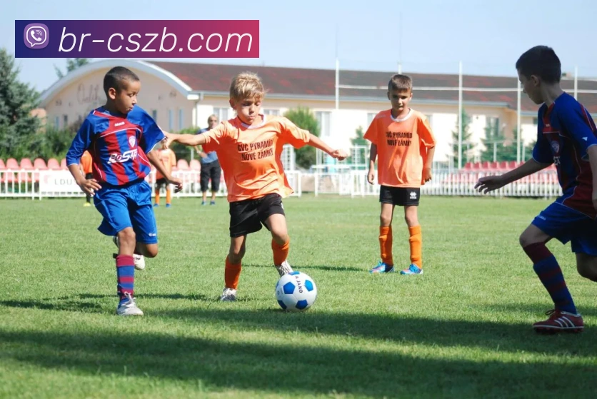 数据防护可视化